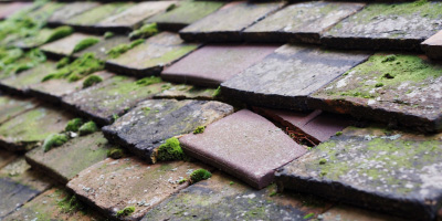 Pen Y Lan roof repair costs